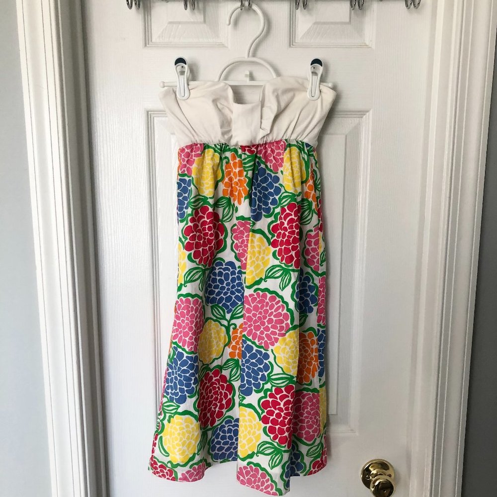 Lily Pulitzer Fruit Print Dress